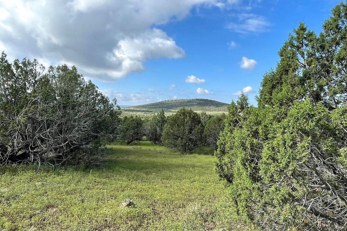 Coconino 2.8 Acres, 20655040 Triangle 2 - 4818 W ANITA CT WILLIAMS, AZ 86046