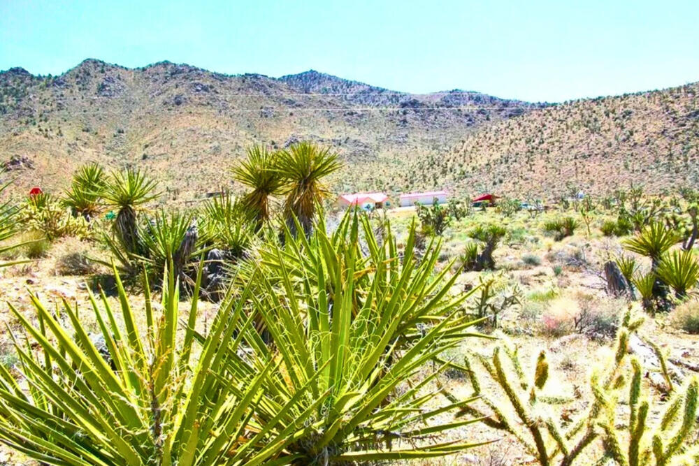 Mohave 1.07 Acres, 328-02-492 Block of 10 - 86441, Dolan Springs, Arizona