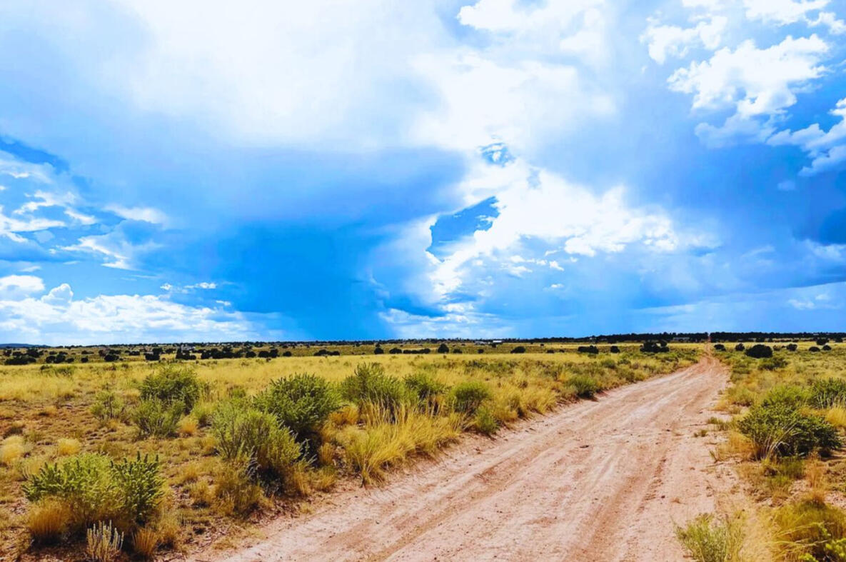 Coconino 1.07 Acres, 50177006 Deep 9 - 722 S WEDGEWOOD DR WILLIAMS, AZ 86046