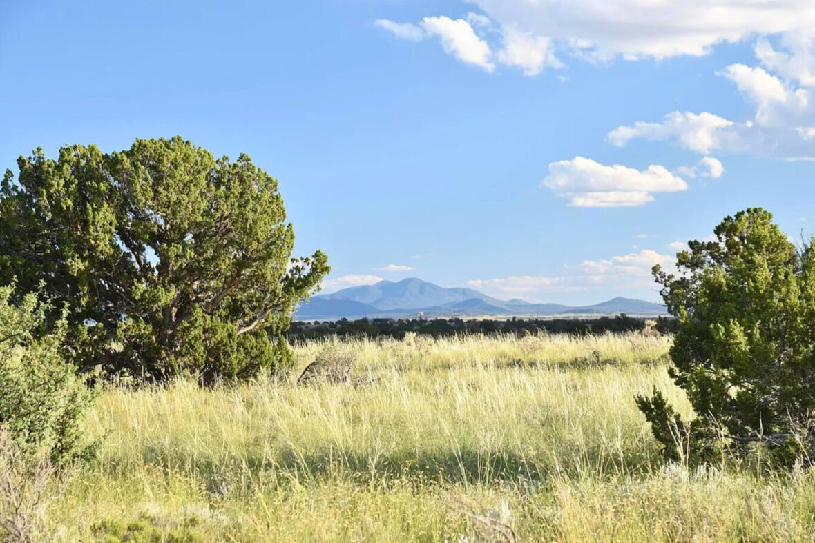 Coconino 1.03 Acres, 50177074 Deep 6 Lots of Trees - 880 S WEDGEWOOD DR WILLIAMS, AZ 86046