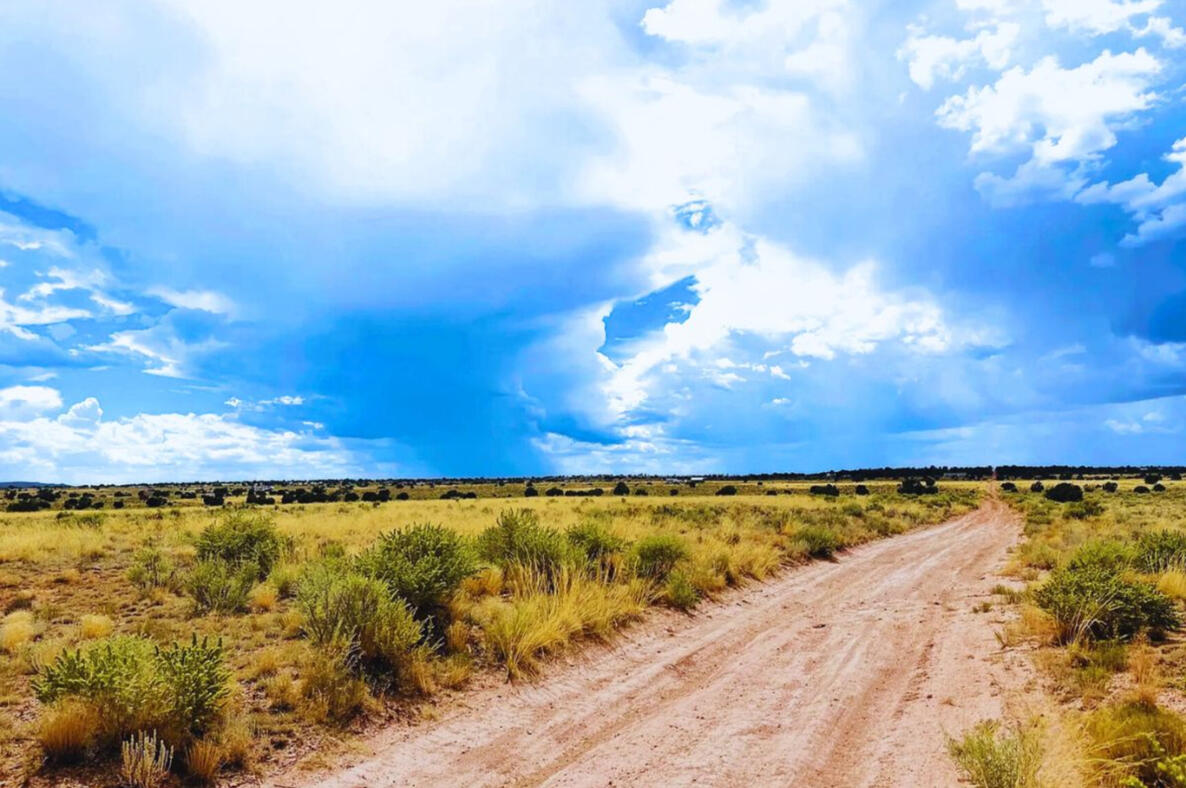 Coconino 1.07 Acres, 50177006 Deep 9 - 722 S WEDGEWOOD DR WILLIAMS, AZ 86046